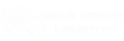 holdswiftlogistic.com